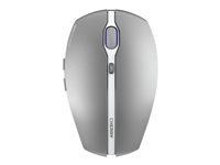 CHERRY GENTIX BT - Souris - optique - 7 boutons - sans fil - Bluetooth 4.0 - argent givré JW-7500-20