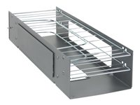 HPE - Plateau de gestion de câbles pour rack - supérieur - 19" - pour HPE 600mm; Advanced Series Racks 42U 600mm; ProLiant ML110 G3; Rack 383982-B21