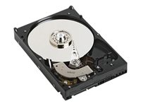 Dell - Disque dur - 6 To - interne - 3.5" - SATA 6Gb/s - 7200 tours/min - pour PowerEdge T630; PowerEdge R730, R730xd 400-AHHI