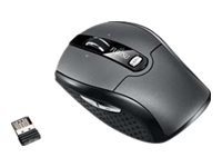 Fujitsu WI610 - Souris - droitiers et gauchers - laser - 6 boutons - sans fil - 2.4 GHz - récepteur sans fil USB - noir argenté - Pour la vente au détail - pour Celsius C780, J550, M7010, R970; ESPRIMO P558, Q958; LIFEBOOK U7310, U7410, U7510, U9310 S26381-K460-L100