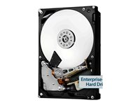 HGST Ultrastar - Disque dur - 10 To - interne - 3.5" - SATA 6Gb/s - 7200 tours/min - mémoire tampon : 256 Mo 0F27604