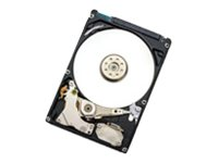 HGST Endurastar J4K320 HEJ423280H9E300 - Disque dur - 80 Go - interne - 2.5" - SATA 1.5Gb/s - 4260 tours/min - mémoire tampon : 8 Mo 0A60319