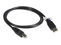 StarTech.com Câble certifié USB 2.0 A vers B de 3 m - Cordon USB A vers USB B - Mâle / Mâle - Noir - Câble USB - USB (M) pour USB type B (M) - USB 2.0 - 3 m - moulé - noir - pour P/N: RKCOND17HD, SV431DL2DU3A, SV431DPDDUA2, USB2001EXT2NA, USB2002EXT2NA, USB2004EXT2NA USB2HAB10