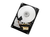 HGST Ultrastar 7K6000 HUS726040AL5210 - Disque dur - 4 To - interne - 3.5" - SAS 12Gb/s - 7200 tours/min - mémoire tampon : 128 Mo 0F22795