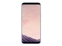 Samsung Galaxy S8+ - 4G smartphone - RAM 4 Go / Mémoire interne 64 Go - microSD slot - écran OEL - 6.2" - 2960 x 1440 pixels - rear camera 12 MP - front camera 8 MP - orchidée SM-G955FZVAXEF