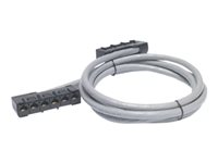 APC Data Distribution Cable - Câble réseau - RJ-45 (F) pour RJ-45 (F) - 7 m - UTP - CAT 5e - gris DDCC5E-023